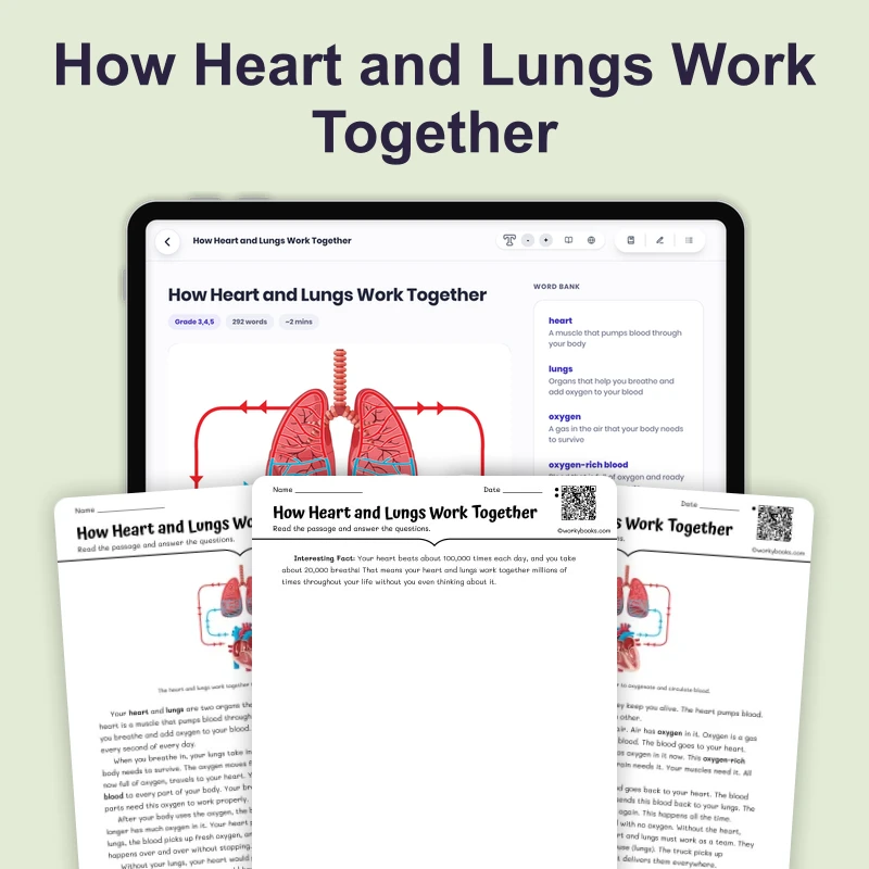 How Heart and Lungs Work Together — science — reading comprehension for Grade 3, Grade 4, Grade 5, page 1 of 4