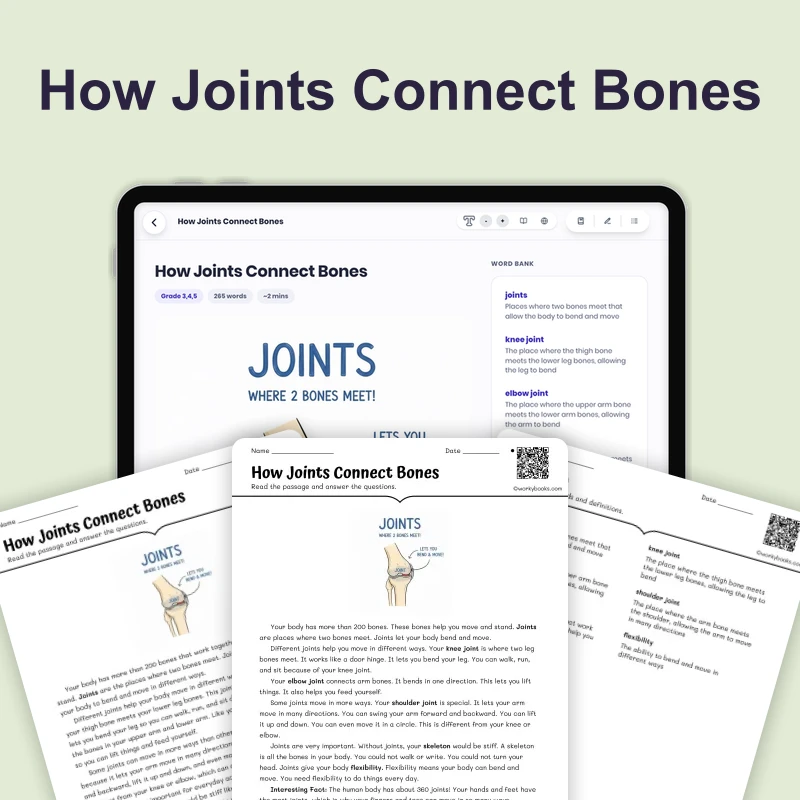 How Joints Connect Bones — science — reading comprehension for Grade 3, Grade 4, Grade 5, page 1 of 4