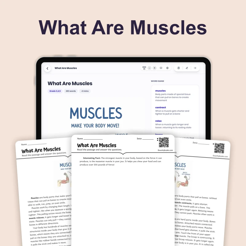 What Are Muscles — science — reading comprehension for Grade 3, Grade 4, Grade 5, page 1 of 4
