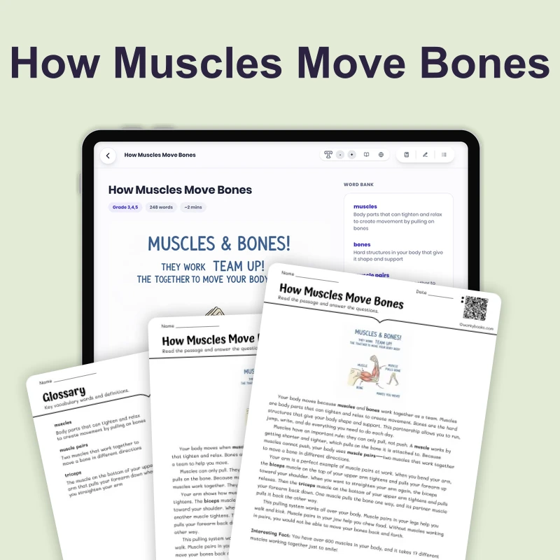 How Muscles Move Bones — science — reading comprehension for Grade 3, Grade 4, Grade 5, page 1 of 4
