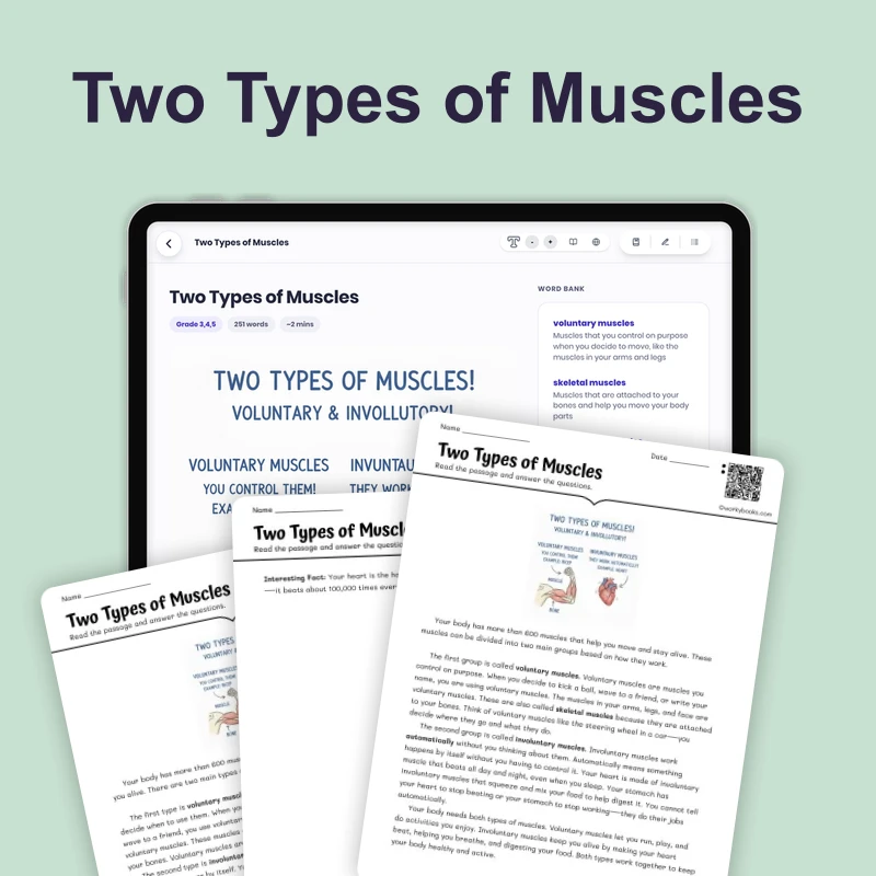 Two Types of Muscles — science — reading comprehension for Grade 3, Grade 4, Grade 5, page 1 of 4