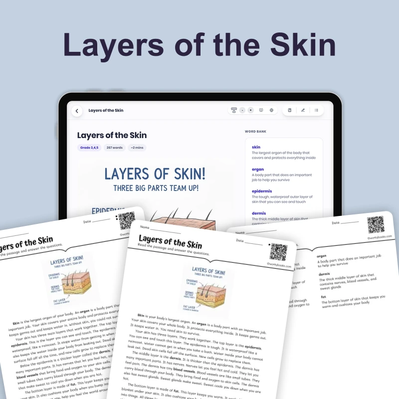 Layers of the Skin — science — reading comprehension for Grade 3, Grade 4, Grade 5, page 1 of 4