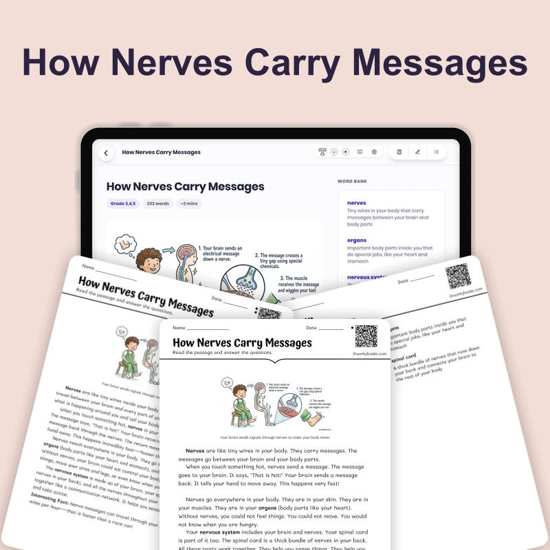 How Nerves Carry Messages — science — reading comprehension for Grade 3, Grade 4, Grade 5, page 1 of 4