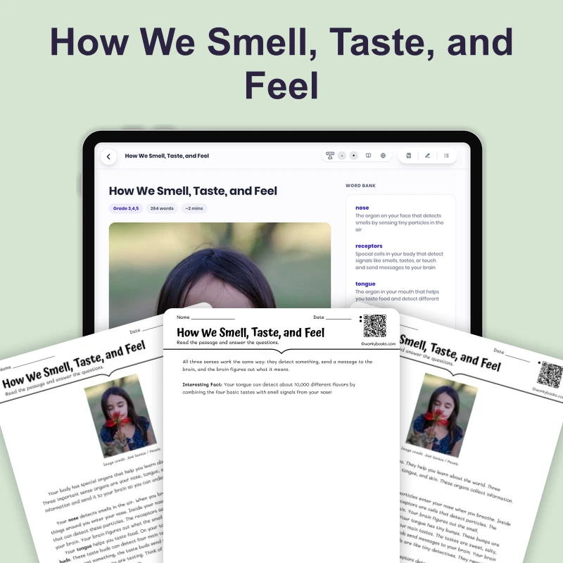 How We Smell, Taste, and Feel — science — reading comprehension for Grade 3, Grade 4, Grade 5, page 1 of 4
