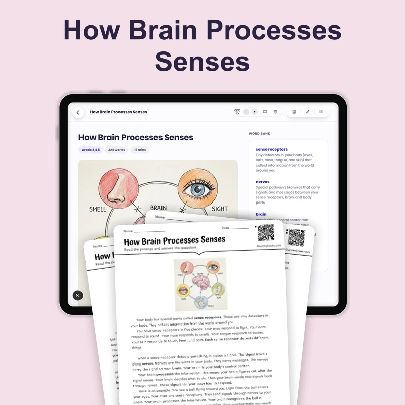 How Brain Processes Senses — science — reading comprehension for Grade 3, Grade 4, Grade 5, page 1 of 4