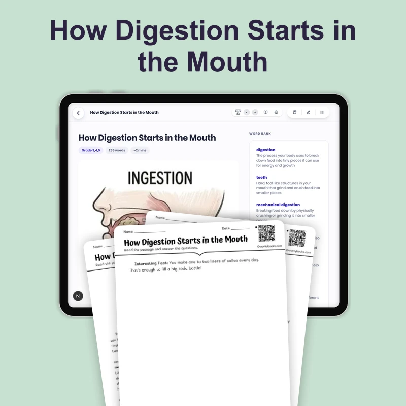 How Digestion Starts in the Mouth — science — reading comprehension for Grade 3, Grade 4, Grade 5, page 1 of 4
