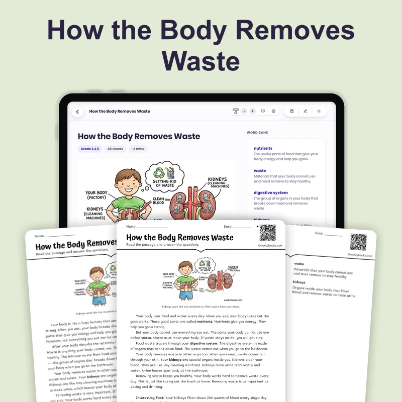 How the Body Removes Waste — science — reading comprehension for Grade 3, Grade 4, Grade 5, page 1 of 4