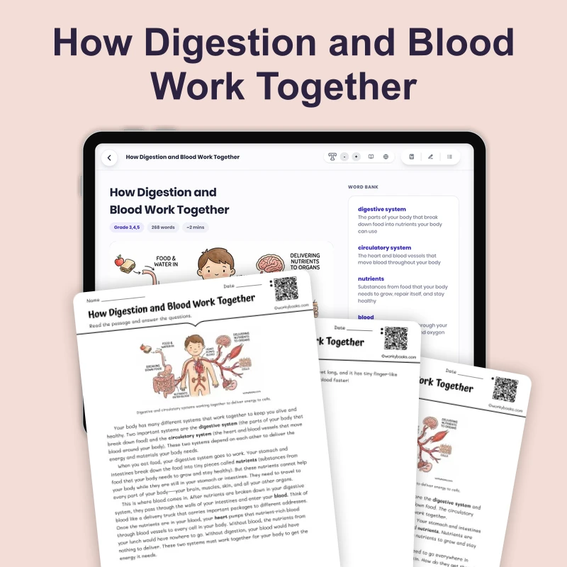 How Digestion and Blood Work Together — science — reading comprehension for Grade 3, Grade 4, Grade 5, page 1 of 4