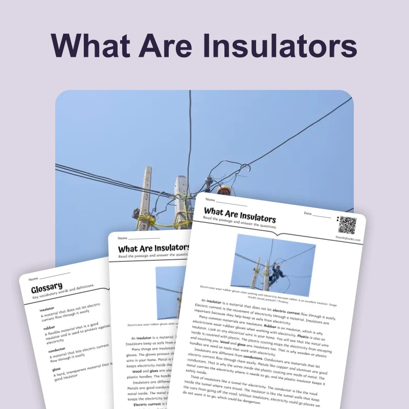What Are Insulators — science — reading comprehension for Grade 3, Grade 4, Grade 5, page 1 of 4