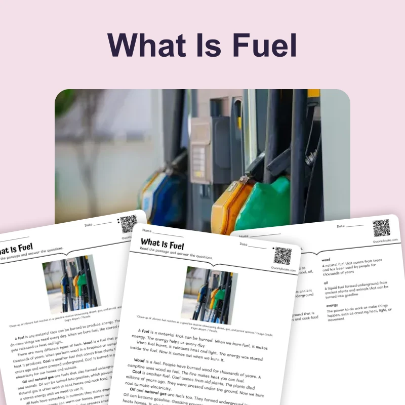 What Is Fuel — science — reading comprehension for Grade 3, Grade 4, Grade 5, page 1 of 4