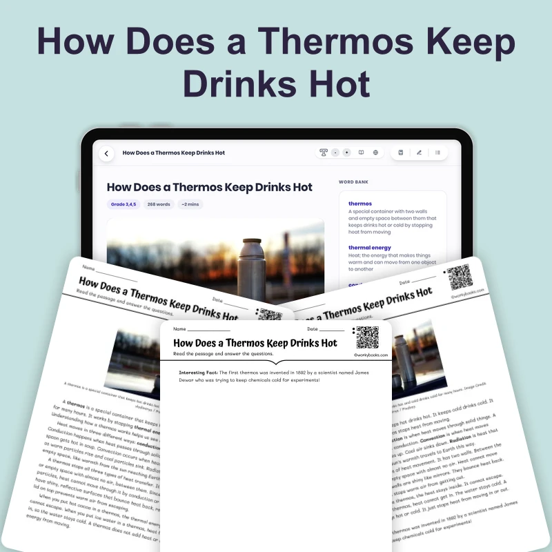 How Does a Thermos Keep Drinks Hot — science — reading comprehension for Grade 3, Grade 4, Grade 5, page 1 of 4