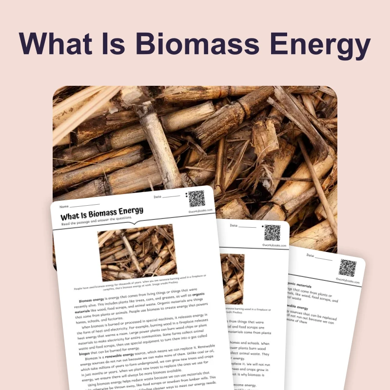Biomass Energy — science — reading comprehension for Grade 3, Grade 4, Grade 5, page 1 of 4