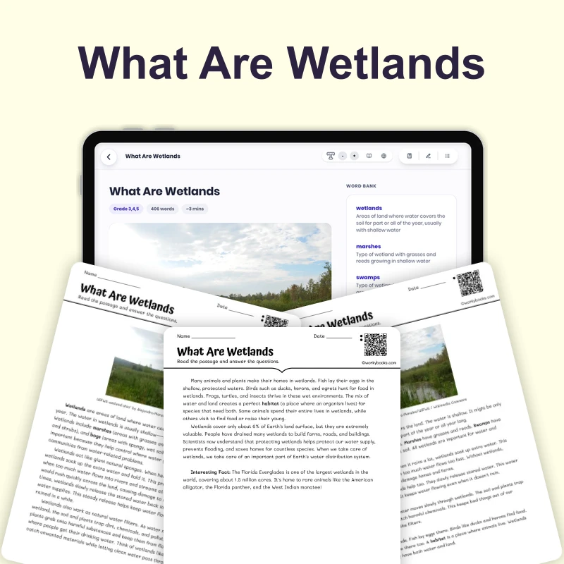 What Are Wetlands — science — reading comprehension for Grade 4, Grade 5, Grade 6, page 1 of 4