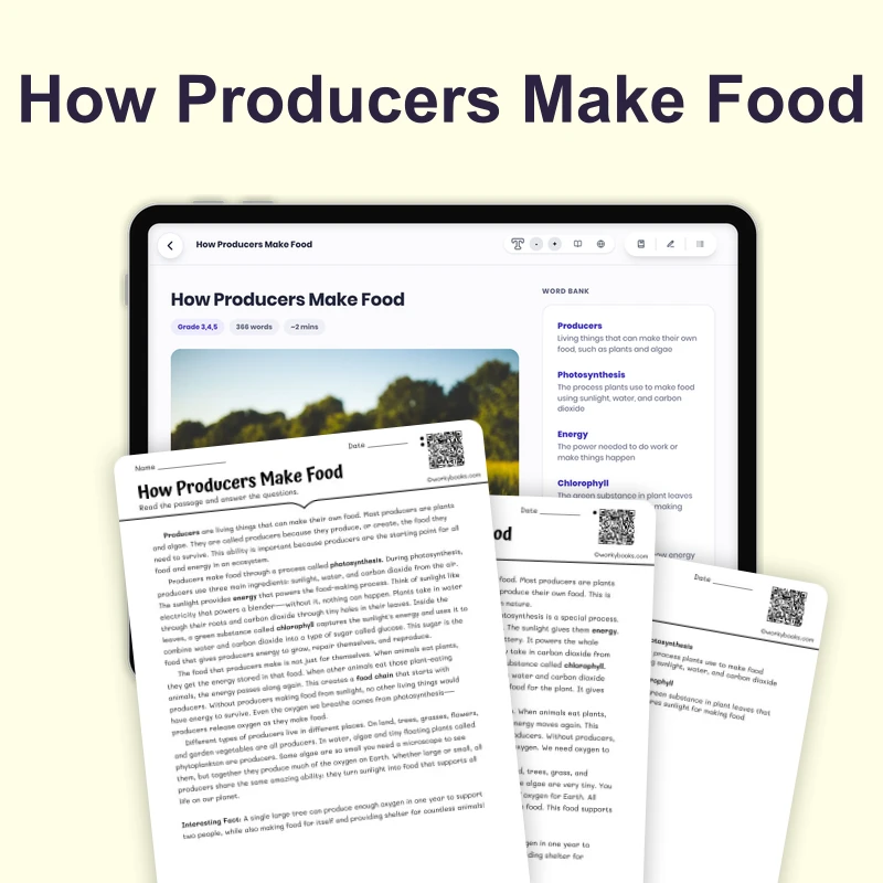 How Producers Make Food — science — reading comprehension for Grade 4, Grade 5, Grade 6, page 1 of 4