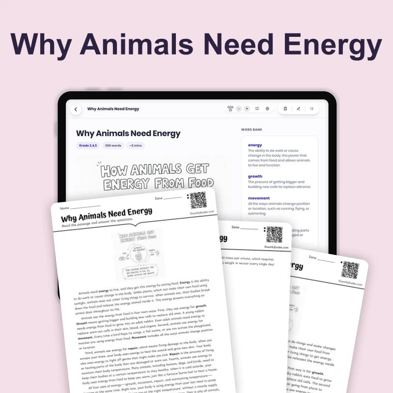 How Animals Get Energy from Food — science — reading comprehension for Grade 4, Grade 5, Grade 6, page 1 of 4