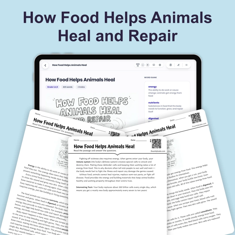 How Food Helps Animals Heal — science — reading comprehension for Grade 4, Grade 5, Grade 6, page 1 of 4