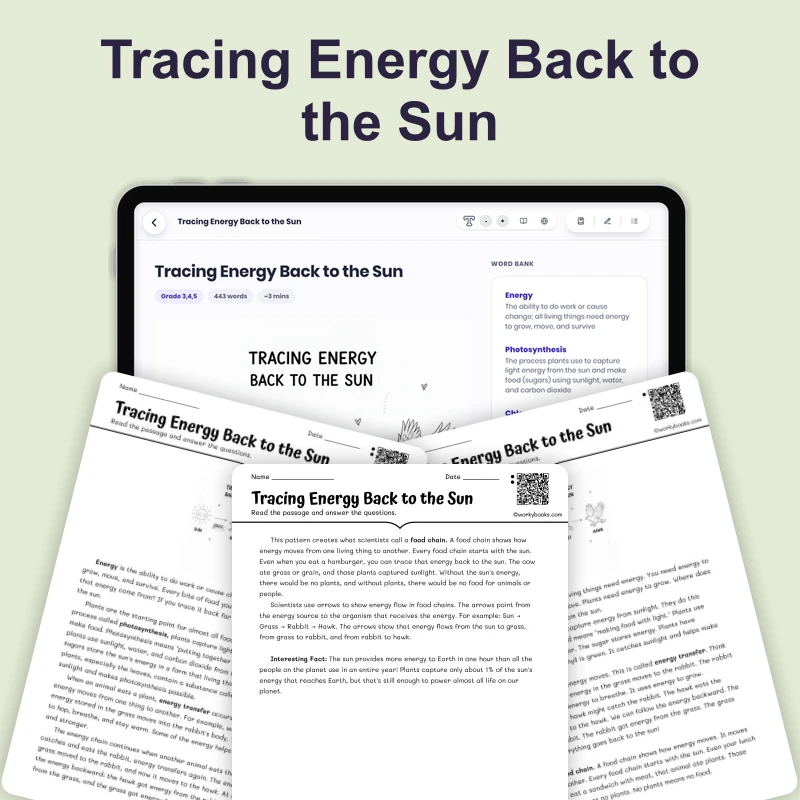 Tracing Energy Back to the Sun — science — reading comprehension for Grade 4, Grade 5, Grade 6, page 1 of 4