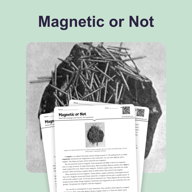 Magnetic or Not? — science — reading comprehension for Grade 3, Grade 4, Grade 5, Grade 6, page 1 of 4