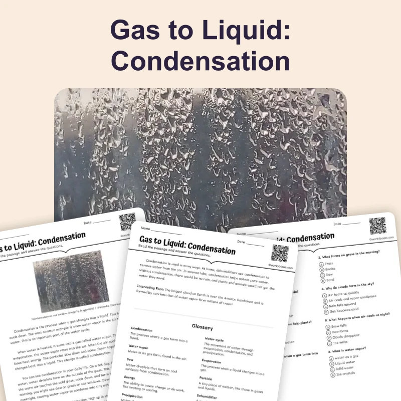 Gas to Liquid: Condensation — science — reading comprehension for Grade 3, Grade 4, Grade 5, Grade 6, page 1 of 4