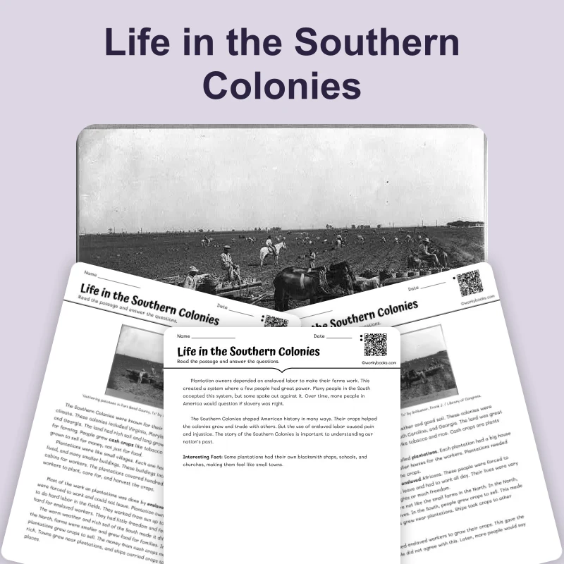 Life in the Southern Colonies — reading — reading comprehension for Grade 3, Grade 4, Grade 5, page 1 of 4