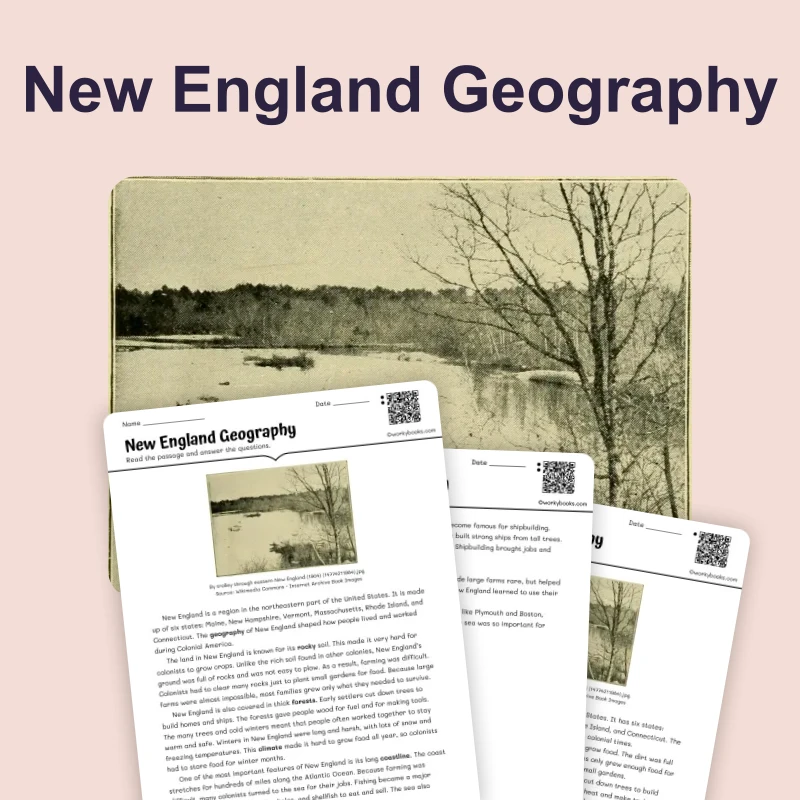 Rocky Coast and Thick Forests in New England Colony — reading — reading comprehension for Grade 3, Grade 4, Grade 5, page 1 of 4