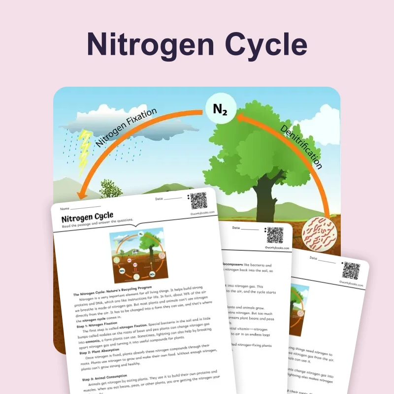 The Nitrogen Cycle — ela — reading comprehension for Grade 4, Grade 5, page 1 of 4