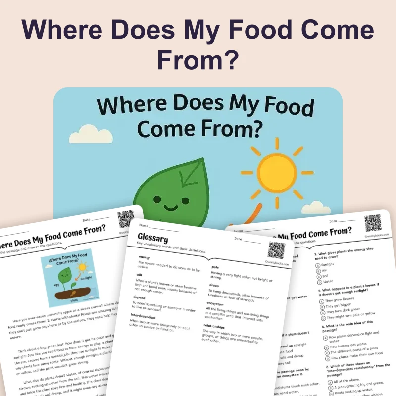 Where Does My Food Come From? — reading — reading comprehension for Grade 1, Grade 2, Grade 3, page 1 of 4