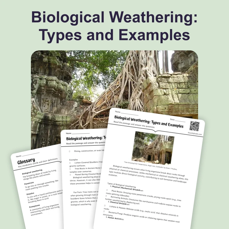 Biological Weathering: Types and Examples — ela — reading comprehension for Grade 5, Grade 6, Grade 7, Grade 8, page 1 of 4