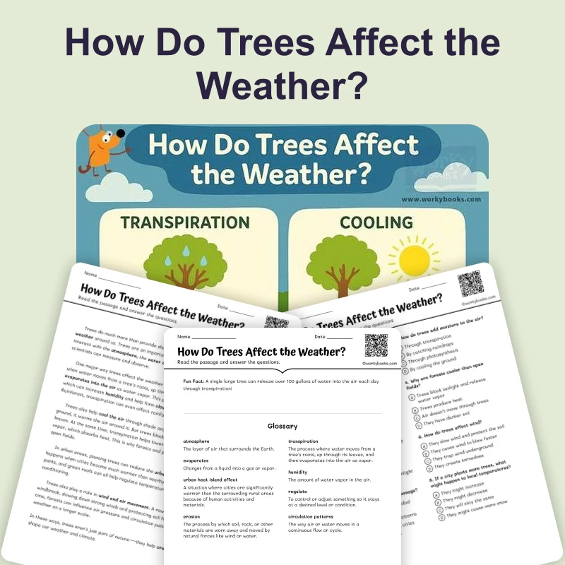 How Do Trees Affect the Weather — ela — reading comprehension for Grade 3, Grade 4, Grade 5, Grade 6, Grade 7, page 1 of 4