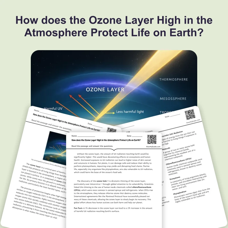 How does the Ozone Layer High in the Atmosphere Protect Life on Earth — ela — reading comprehension for Grade 3, Grade 4, Grade 5, Grade 6, Grade 7, Grade 8, page 1 of 4