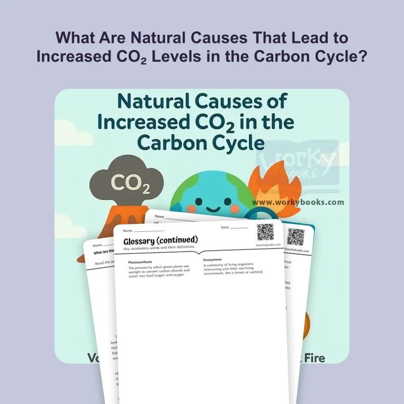 What Are Natural Causes That Lead to Increased CO₂ Levels in the Carbon Cycle? — ela — reading comprehension for Grade 5, Grade 6, Grade 7, Grade 8, page 1 of 4