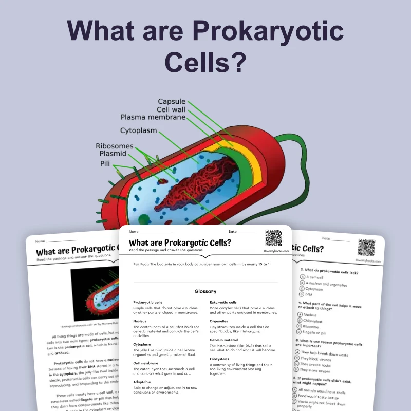 What are Prokaryotic Cells — ela — reading comprehension for Grade 5, Grade 6, Grade 7, Grade 8, page 1 of 4