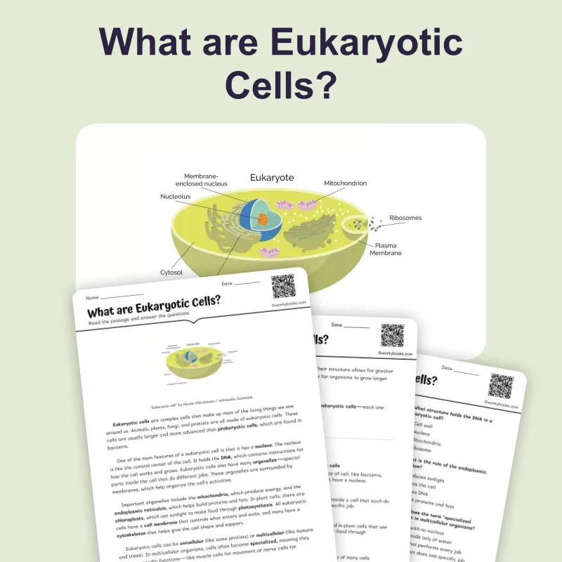 What are Eukaryotic Cells — ela — reading comprehension for Grade 5, Grade 6, Grade 7, Grade 8, page 1 of 4