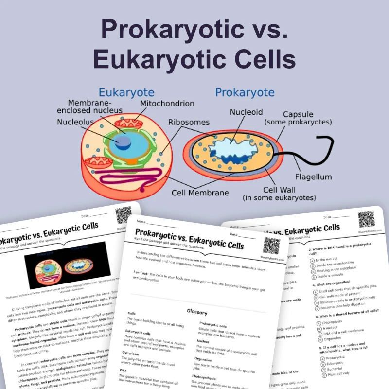 Prokaryotic vs. Eukaryotic Cells — ela — reading comprehension for Grade 5, Grade 6, Grade 7, Grade 8, page 1 of 4