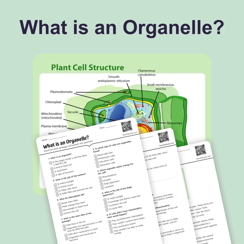 What is an Organelle — ela — reading comprehension for Grade 5, Grade 6, Grade 7, Grade 8, page 1 of 4