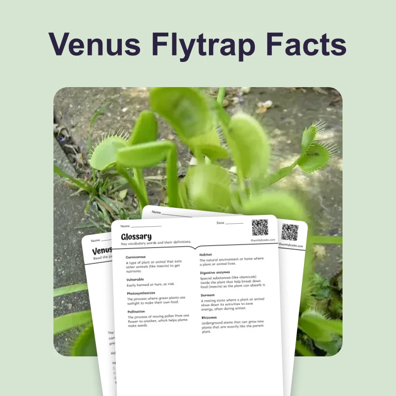 Venus Flytrap Facts — ela — reading comprehension for Grade 5, Grade 6, Grade 7, Grade 8, page 1 of 4