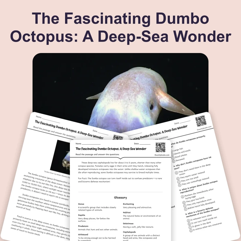 The Fascinating Dumbo Octopus: Deep-Sea Wonder — ela — reading comprehension for Grade 5, Grade 6, Grade 7, Grade 8, page 1 of 4