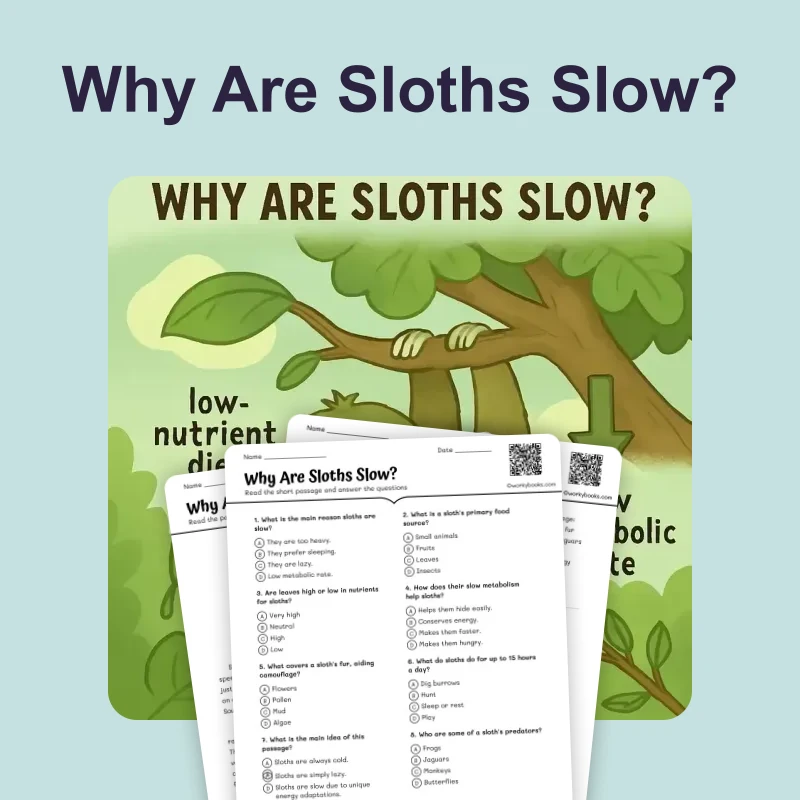 Why Are Sloths Slow — reading — reading comprehension for Grade 3, Grade 4, Grade 5, Grade 6, Grade 7, Grade 8, page 1 of 4