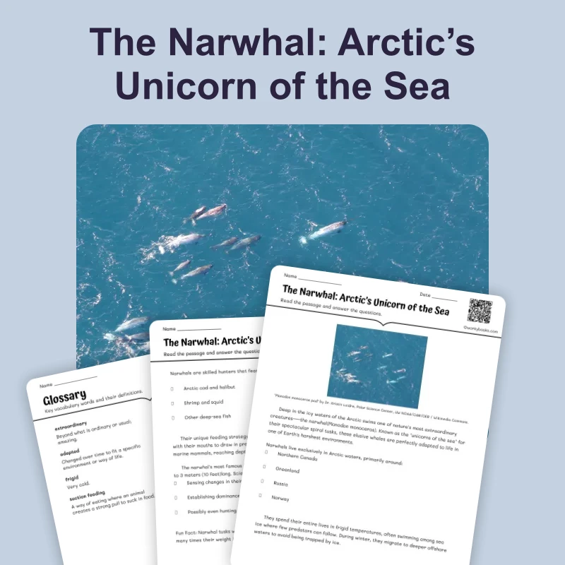 The Narwhal: Arctic’s Unicorn of the Sea — ela — reading comprehension for Grade 5, Grade 6, Grade 7, Grade 8, page 1 of 4