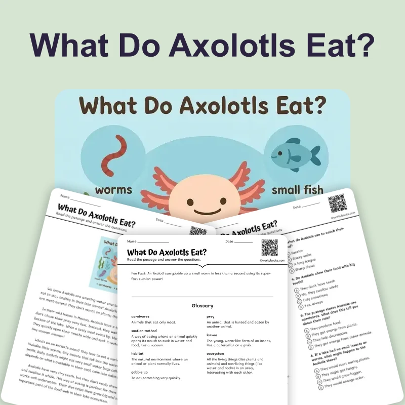 What Do Axolotls Eat? — reading — reading comprehension for Grade 3, Grade 4, Grade 5, Grade 6, Grade 7, Grade 8, page 1 of 4