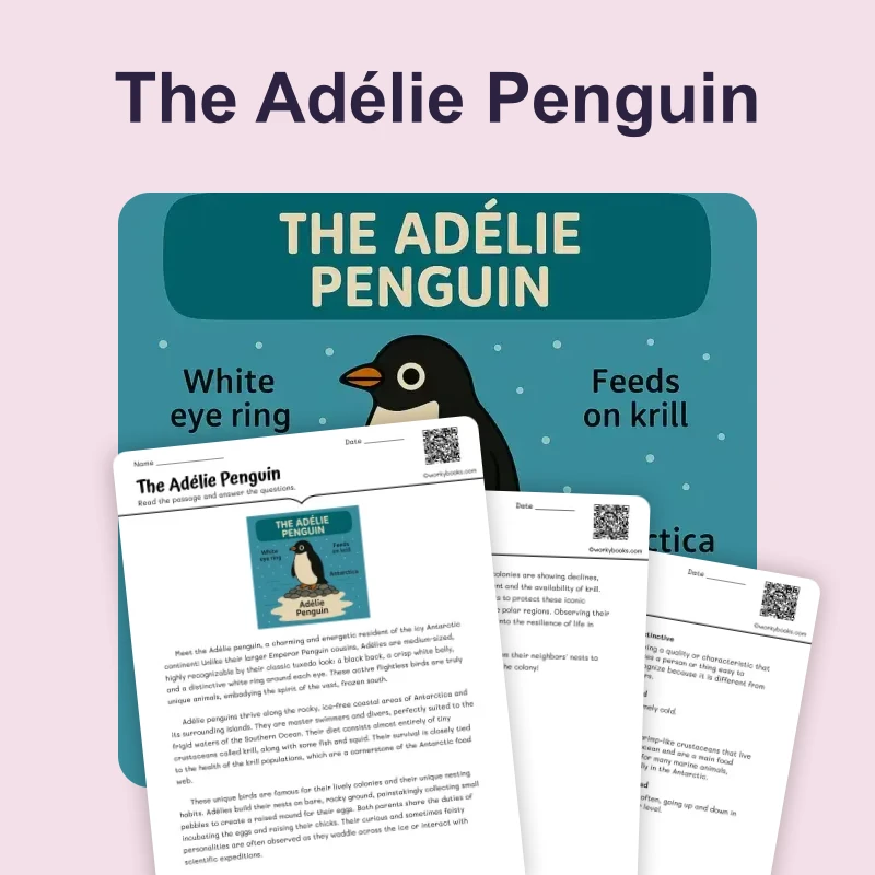 The Adélie Penguin — reading — reading comprehension for Grade 3, Grade 4, Grade 5, Grade 6, Grade 7, Grade 8, page 1 of 4