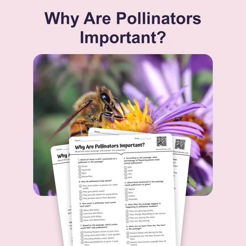 Why Are Pollinators Important? — ela — reading comprehension for Grade 5, Grade 6, Grade 7, Grade 8, page 1 of 4