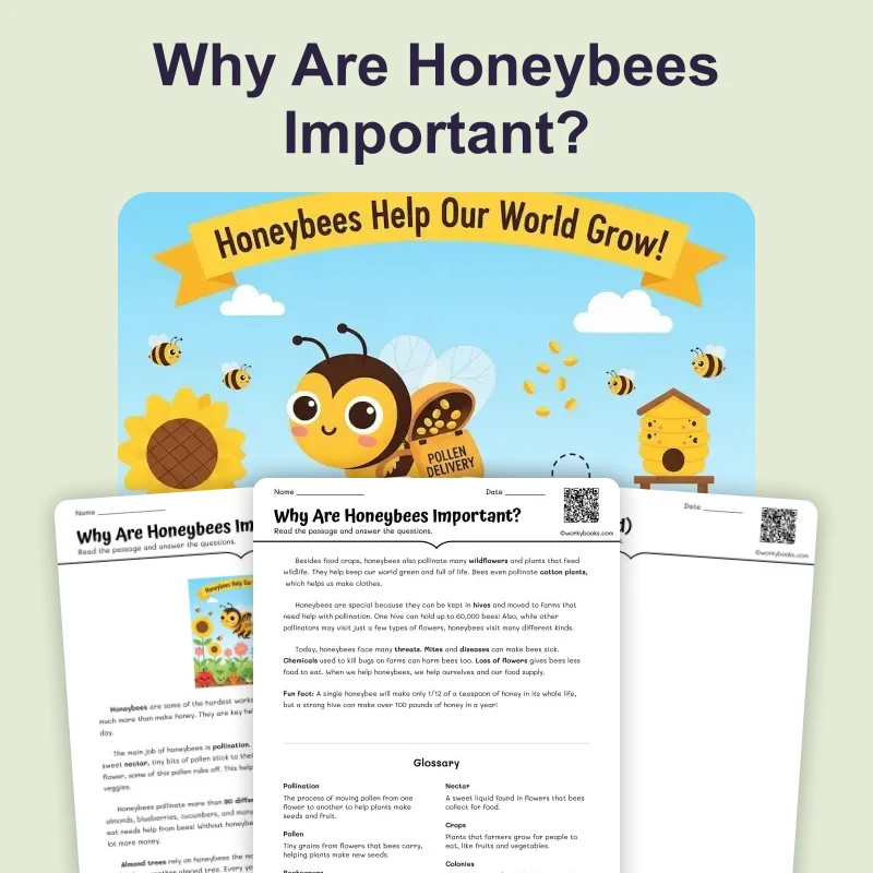 Why Are Honeybees Important? — ela — reading comprehension for Grade 5, Grade 6, Grade 7, Grade 8, page 1 of 4