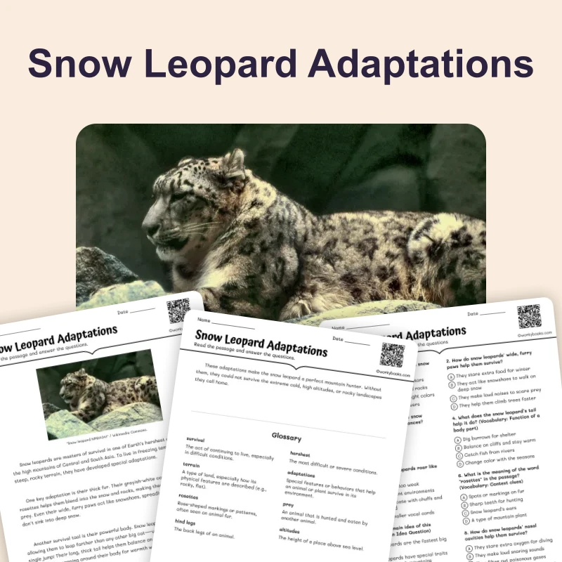 Snow Leopard Adaptations — ela — reading comprehension for Grade 5, Grade 6, Grade 7, Grade 8, page 1 of 4