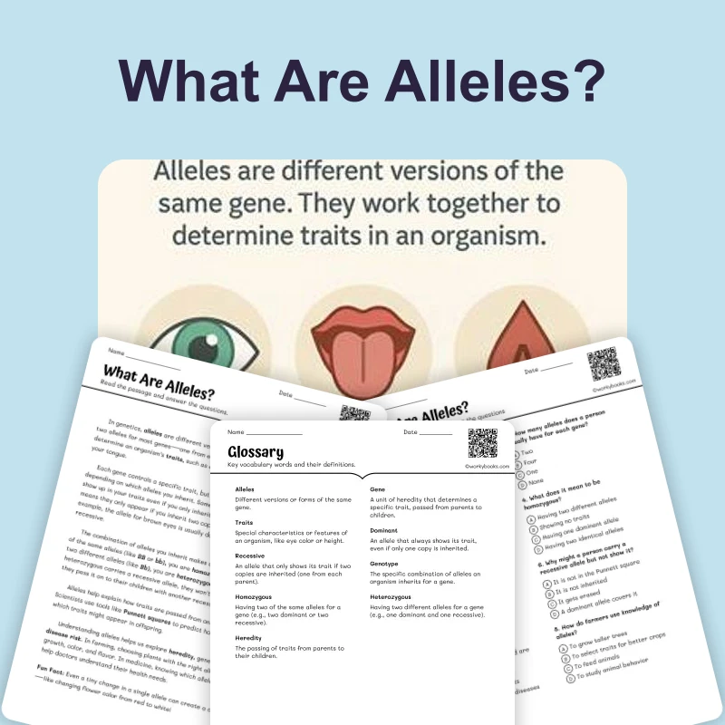 What Are Alleles — ela — reading comprehension for Grade 5, Grade 6, Grade 7, Grade 8, page 1 of 4