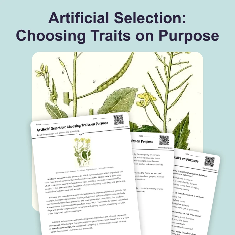 Artificial Selection — ela — reading comprehension for Grade 5, Grade 6, Grade 7, Grade 8, page 1 of 4