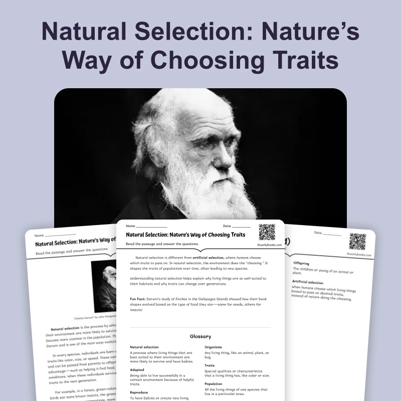 Natural Selection — ela — reading comprehension for Grade 5, Grade 6, Grade 7, Grade 8, page 1 of 4