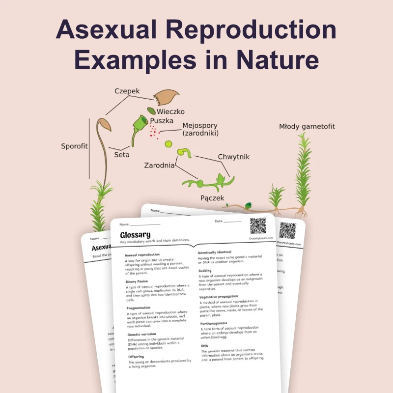 Asexual Reproduction Examples in Nature — ela — reading comprehension for Grade 5, Grade 6, Grade 7, Grade 8, page 1 of 4