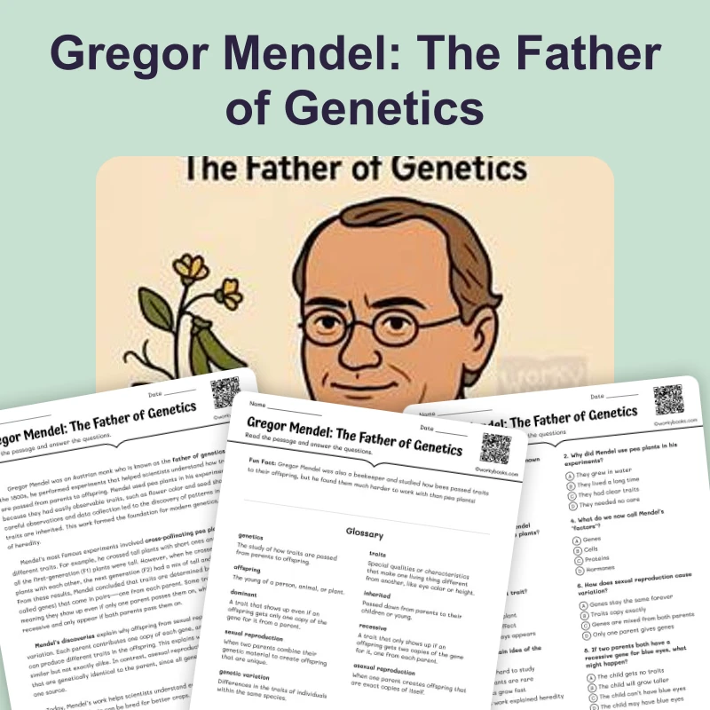 Gregor Mendel — ela — reading comprehension for Grade 5, Grade 6, Grade 7, Grade 8, page 1 of 4