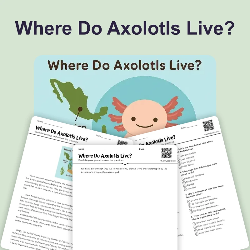 Where Do Axolotls Live? — reading — reading comprehension for Grade 3, Grade 4, Grade 5, Grade 6, Grade 7, Grade 8, page 1 of 4
